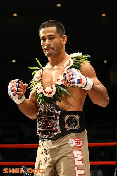 falaniko Vitale X1 Chmapion